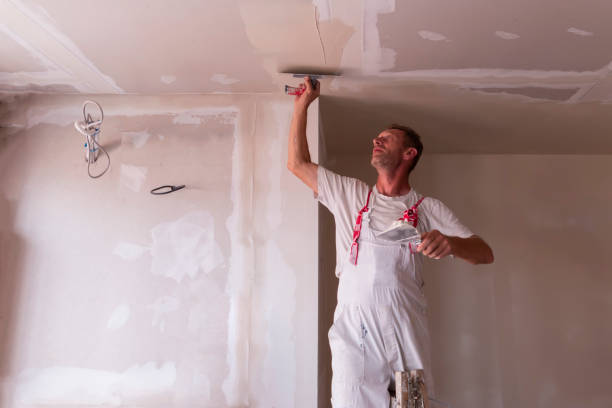 Best Ceiling Drywall Installation  in Oberlin, LA